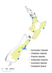 Cardamine heleniae distribution map based on databased records at AK, CHR, OTA & WELT.
 Image: K.Boardman © Landcare Research 2018 CC BY 4.0